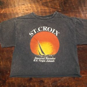 brandy melville graphic cropped tee